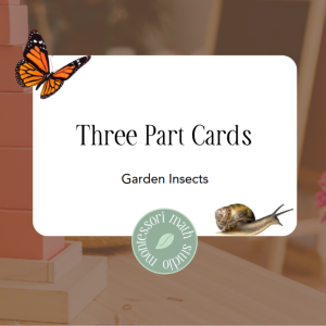 Garden insect three-part cards title page