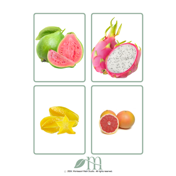 sample download page featuring four fruit cards for fruit matching card product