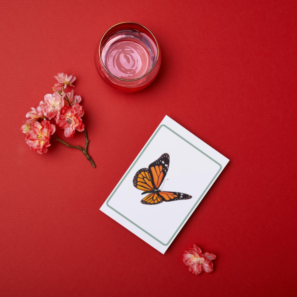 a Montessori vocabulary card on a red background